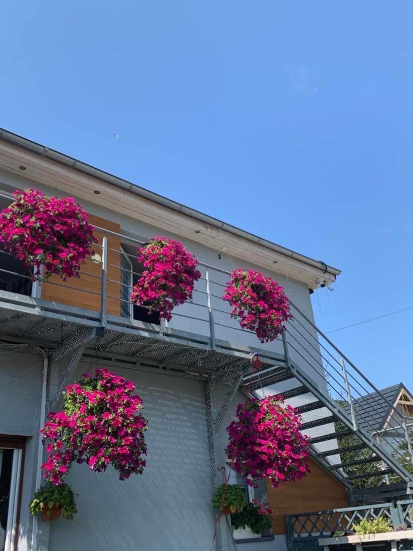 Apartment Admarmal